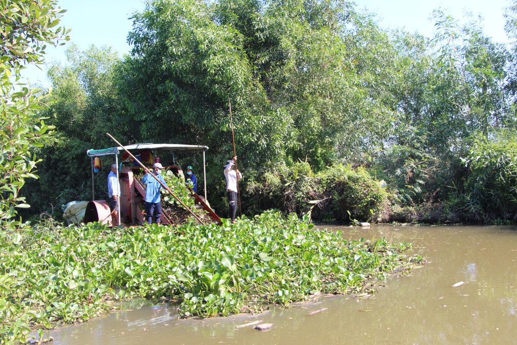 CÔNG TY TNHH SẢN XUẤT HỮU CƠ GIÁ THỂ LỤC BÌNH NGUYỄN VĂN DẠN