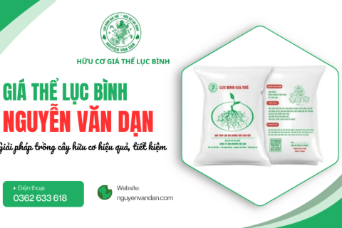 Giá thể lục bình - Giải pháp trồng cây hữu cơ hiệu quả, tiết kiệm