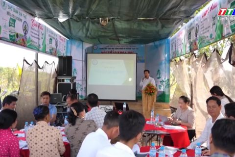 Đánh giá kết quả thử nghiệm mô hình ứng dụng phân hữu cơ từ lục bình