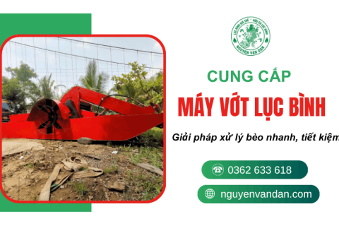 Máy vớt lục bình Tây Ninh - Giải pháp xử lý bèo nhanh, tiết kiệm