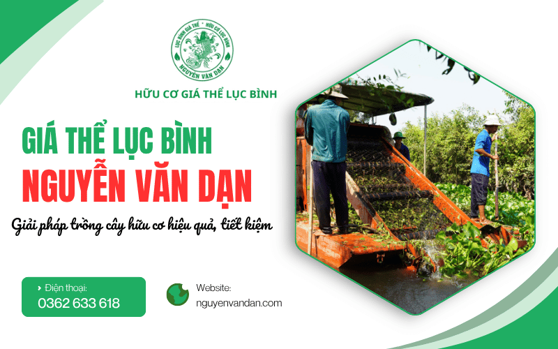 giá thể lục bình