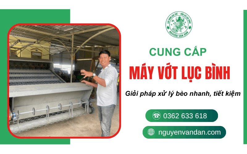 máy vợt lục bình