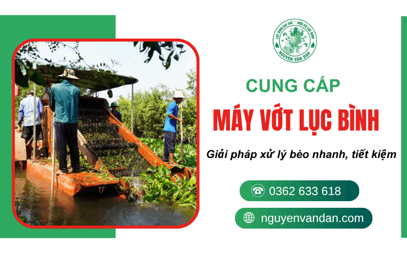 máy vợt lục bình