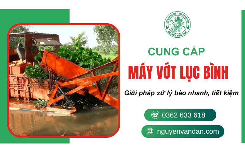 máy vợt lục bình