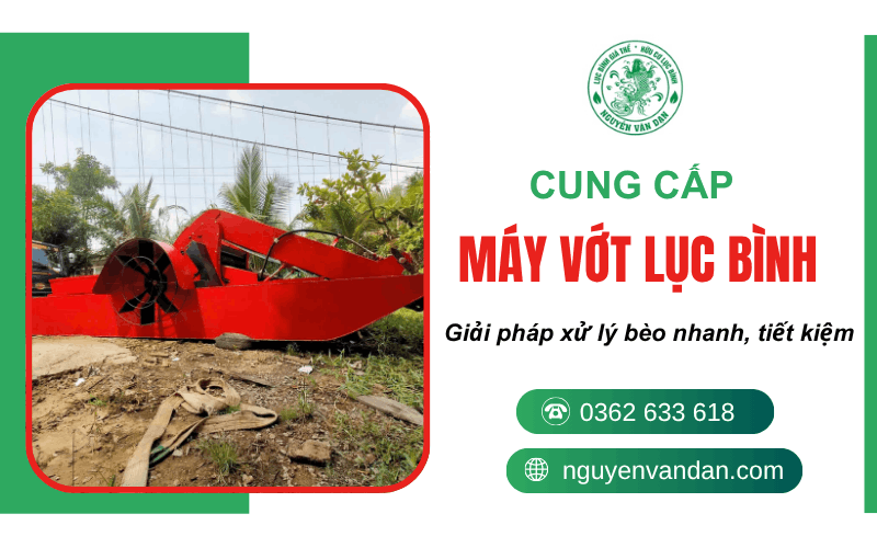 máy vợt lục bình