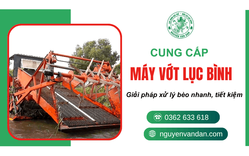 máy vợt lục bình