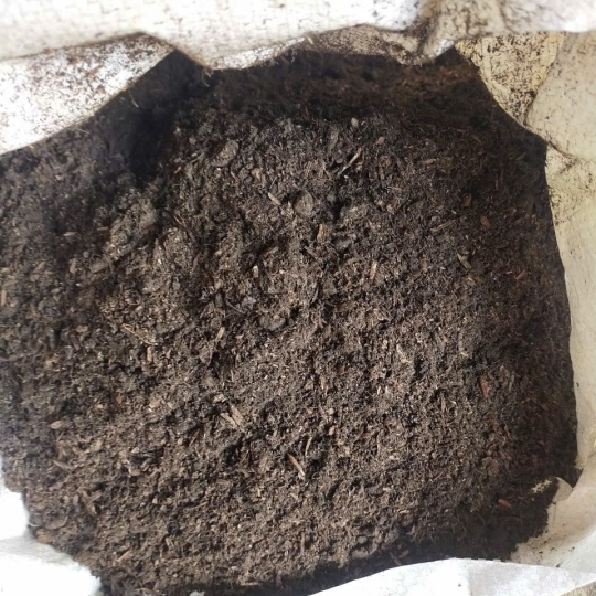 Lục Bình Giá Thể